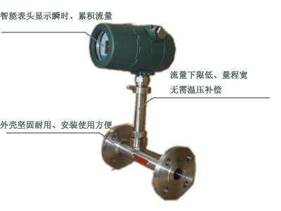 DF-12熱式氣體質量流量計